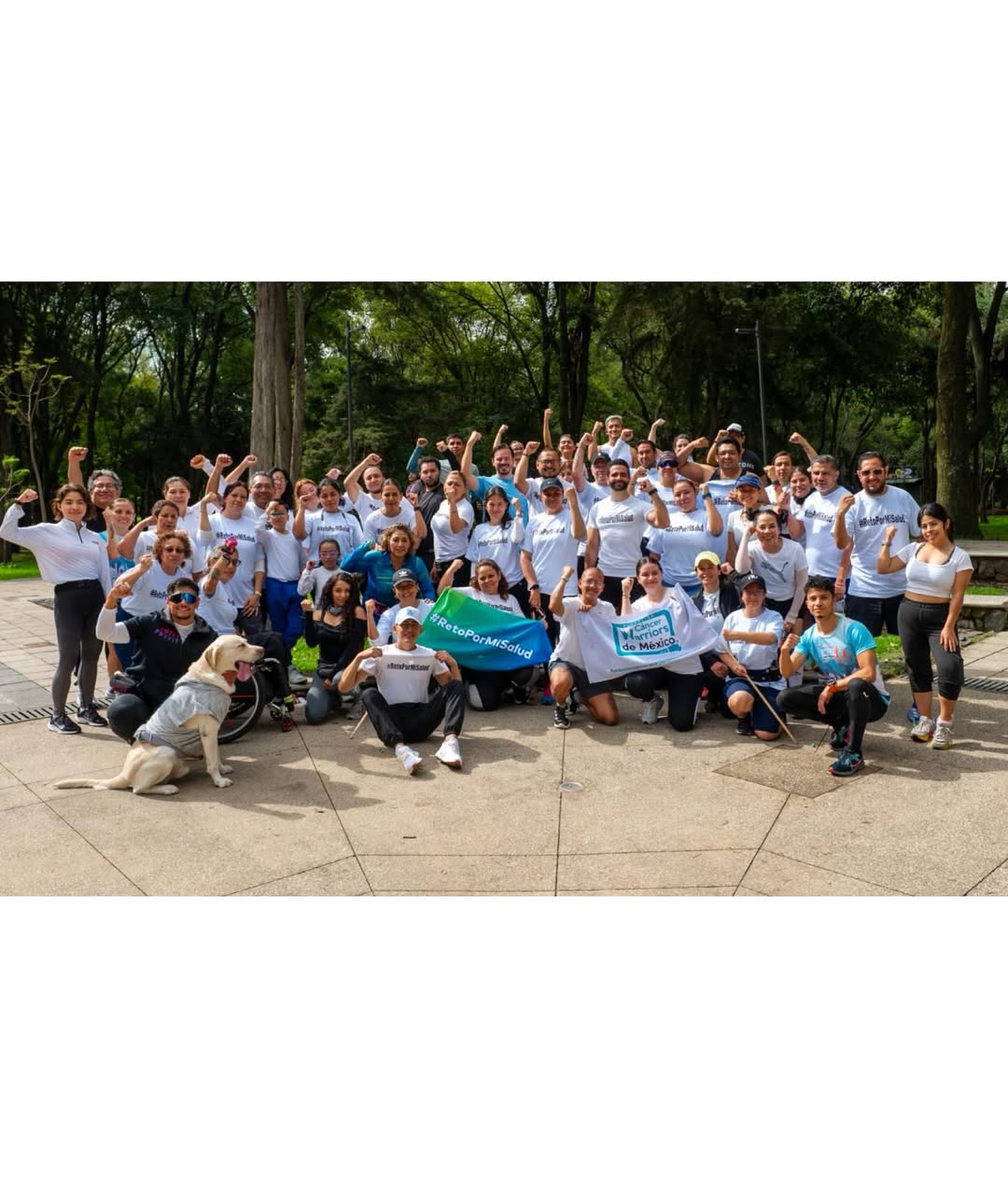 Acción 8